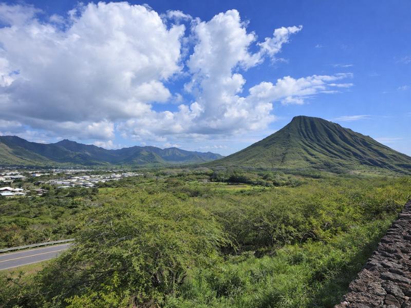 Best Private Full-Day Oahu Sightseeing Tour with Kualoa Ranch Visit