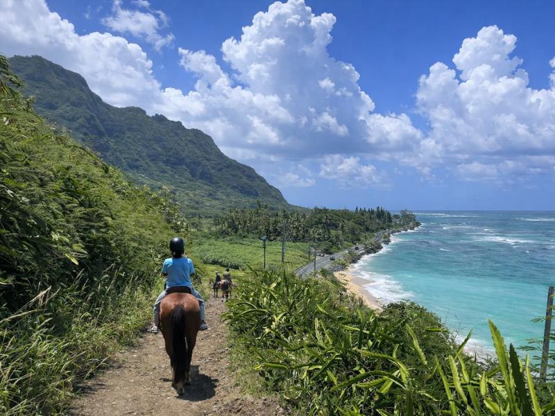 Kualoa Ranch Horseback Walking Tour