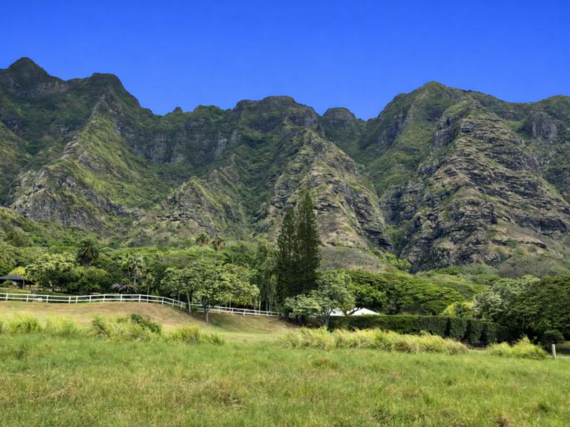 Kualoa Ranch Open-Air Jungle Expedition Tour