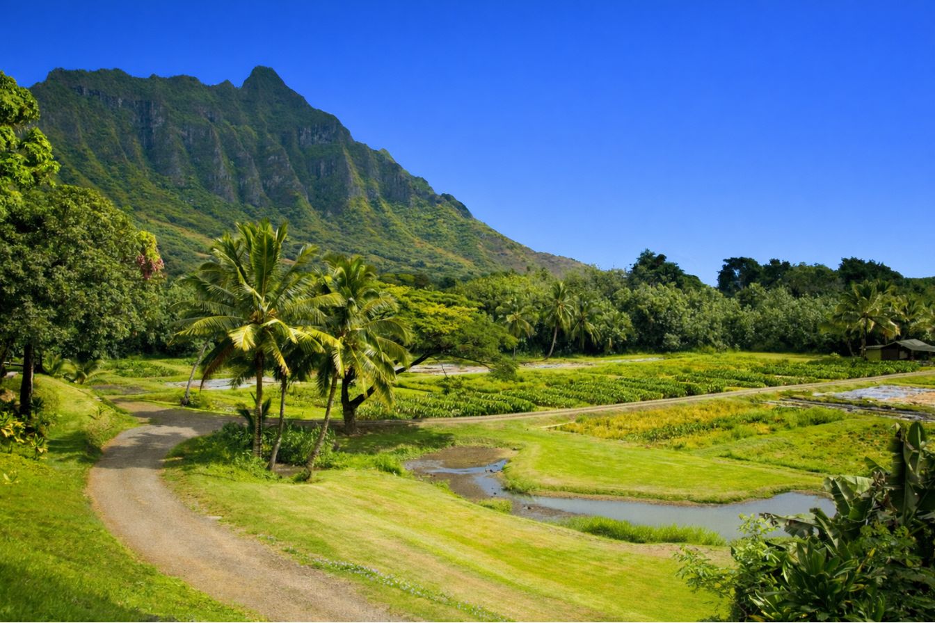 Kualoa Ranch Tours